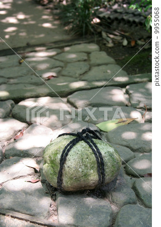 Main stone (muscleare) vertical Main stone (muscleare) vertical 9955068