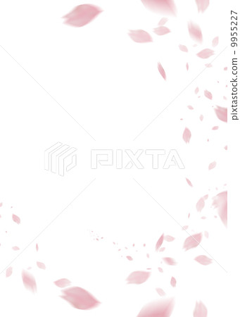 櫻花 櫻花 9955227