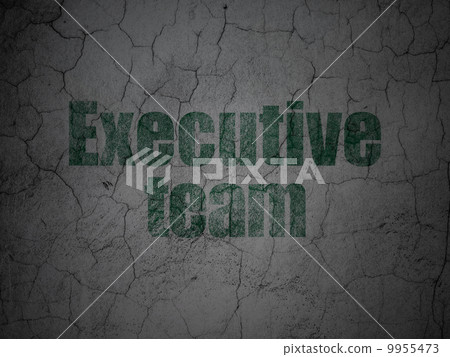 Business concept: Executive Team on grunge wall background 9955473
