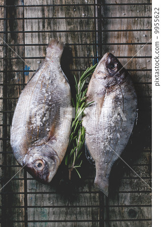 Tow raw dorado fish with rosemary on grill 9955622