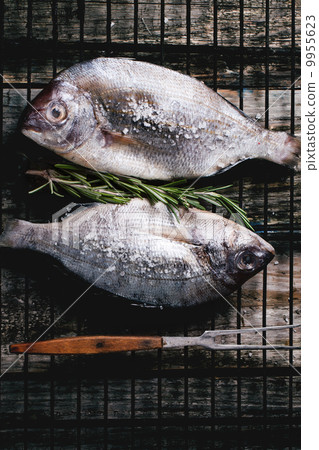 Tow raw dorado fish with rosemary on grill 9955623