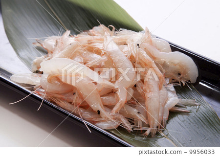 White shrimp White shrimp 9956033