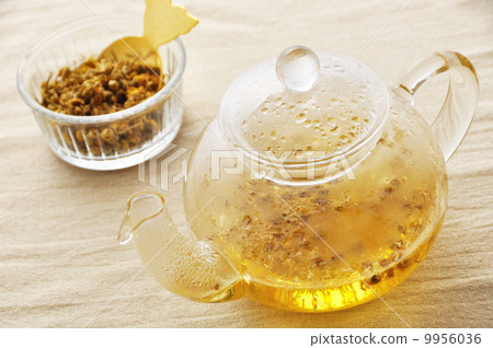 洋甘菊茶 洋甘菊茶 9956036