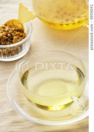 洋甘菊茶 9956041