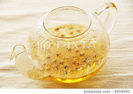 洋甘菊茶 洋甘菊茶 9956042