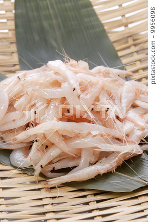 White shrimp White shrimp 9956098