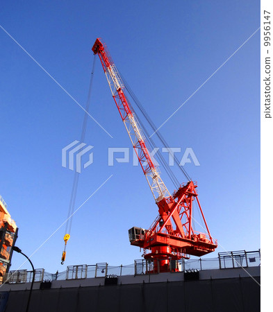 Crane picture 9956147