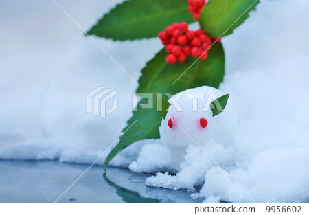 新年的形象·雪融雪和千雪·雪背側臥位 新年的形象·雪融雪和千雪·雪背側臥位 9956602