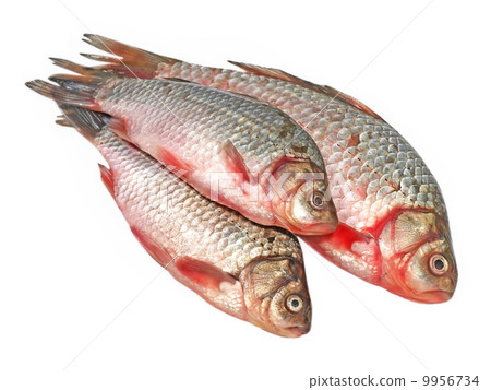 Three fresh crucians. 9956734