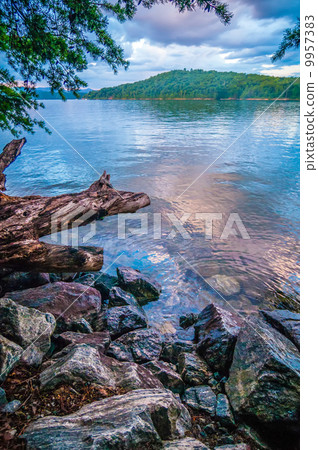 scenery around lake jocasse gorge 9957383