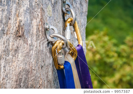 Climbing carabiner 9957387