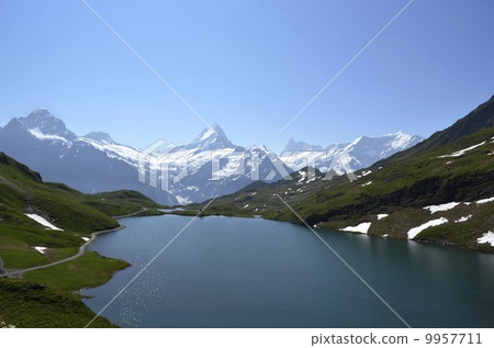 Bach alpse in early summer Bach alpse in early summer 9957711