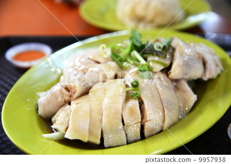 海南雞飯 9957938