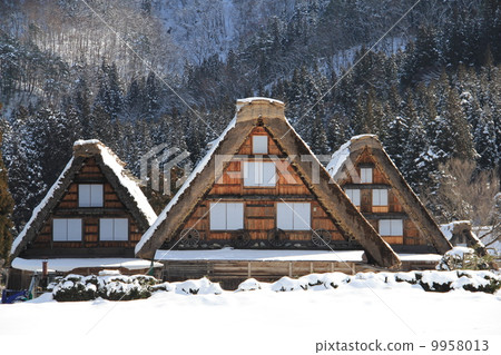 Winter Shirakawa Town 9958013