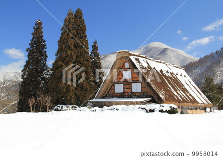 Winter Shirakawa Town 9958014