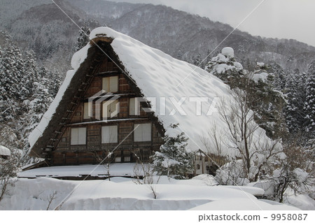 Winter Shirakawa Town 9958087