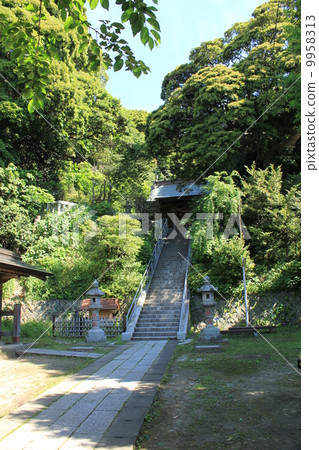 Sweet Rise Shing Ming Palace 9958313