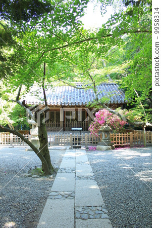 Kotoku-in的佛教寺廟 9958314