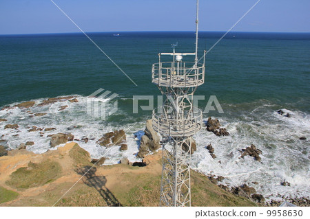 View from Inubosaki Lighthouse 9958630