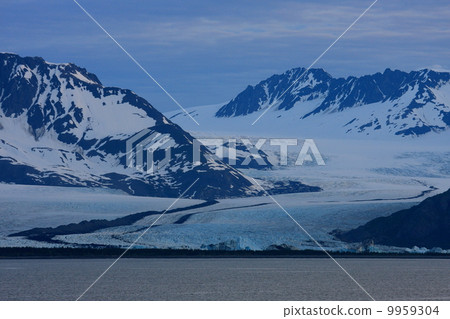 Seward 9959304