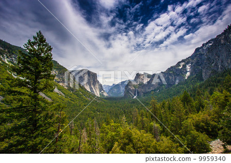 優勝美地國家公園 9959340