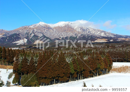 冬天的麻生太郎 9959357