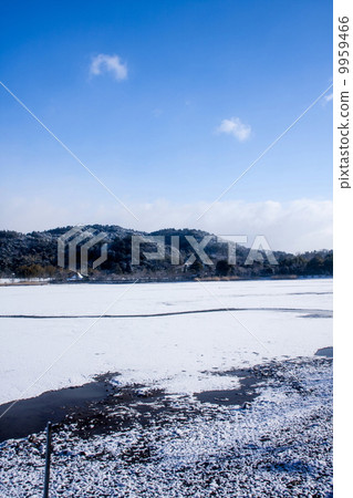 雪弘澤池塘 9959466