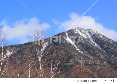 Okuhiko的冬天 9960261