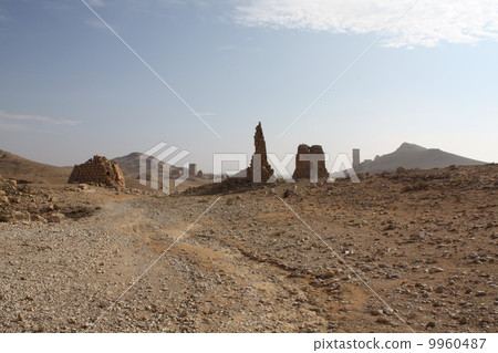 Palmyra ruins valley of the grave Palmyra ruins valley of the grave 9960487