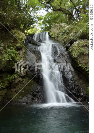 Kawazu Nanaki上游的二樓瀑布 9960633