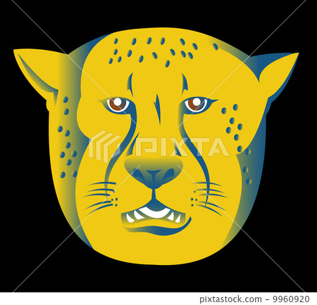 cheetah head facing front 9960920
