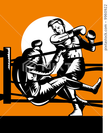 boxer connecting knockout punch 9960922