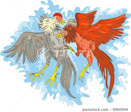 fighting cocks 9960944