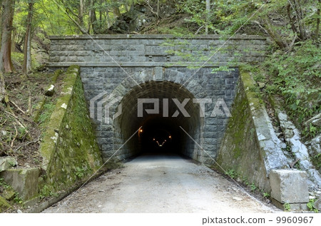Tenchiroyama Tunnel · Kawazu-cho side 9960967