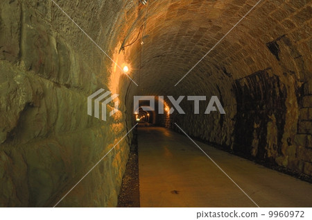 Tenchiroyama隧道·河津町邊 Tenchiroyama隧道·河津町邊 9960972