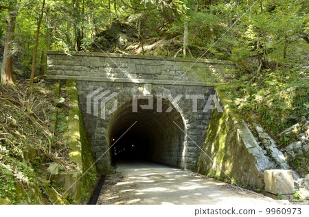 Tenchiroyama Tunnel · Kawazu-cho side 9960973