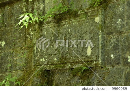 Amagiyama Tunnel · Izu-shi side Amagiyama Tunnel · Izu-shi side 9960989