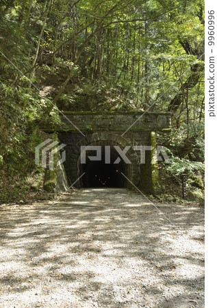 Amagiyama隧道·伊豆市邊 9960996