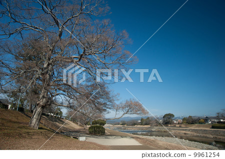 Kamogawa Park in winter 9961254