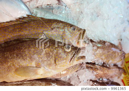 市場 市場 9961365