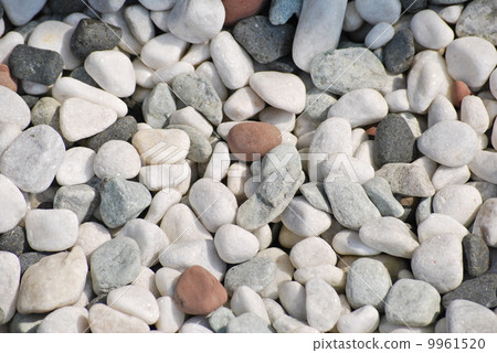 White ball White ball 9961520