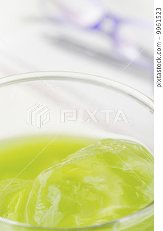 green tea green tea 9961523