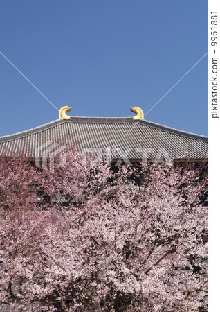 東大寺 東大寺 9961881