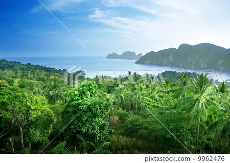 View from view point of Phi-Phi island in Thailand View from view point of Phi-Phi island in Thailand 9962476