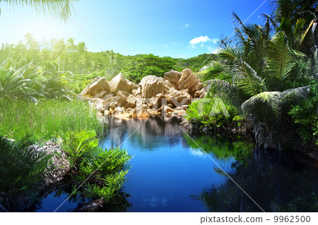 lake in jungle of Seychelles, La Digue island 9962500