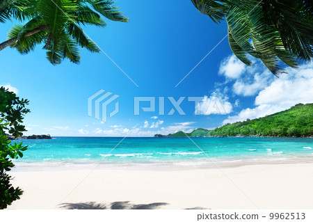 beach Takamaka, Mahe island, Seychelles beach Takamaka, Mahe island, Seychelles 9962513