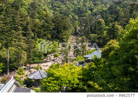 The cathedral 9962577