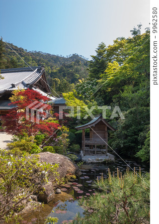 The cathedral 9962580