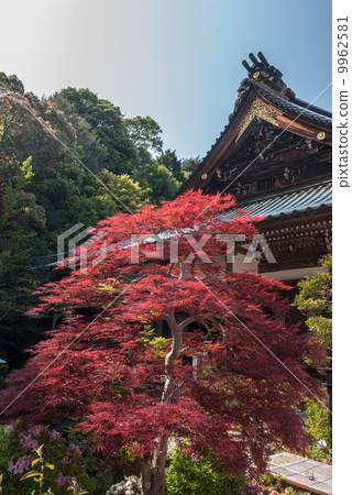 The cathedral 9962581