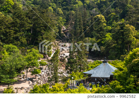 The cathedral 9962582